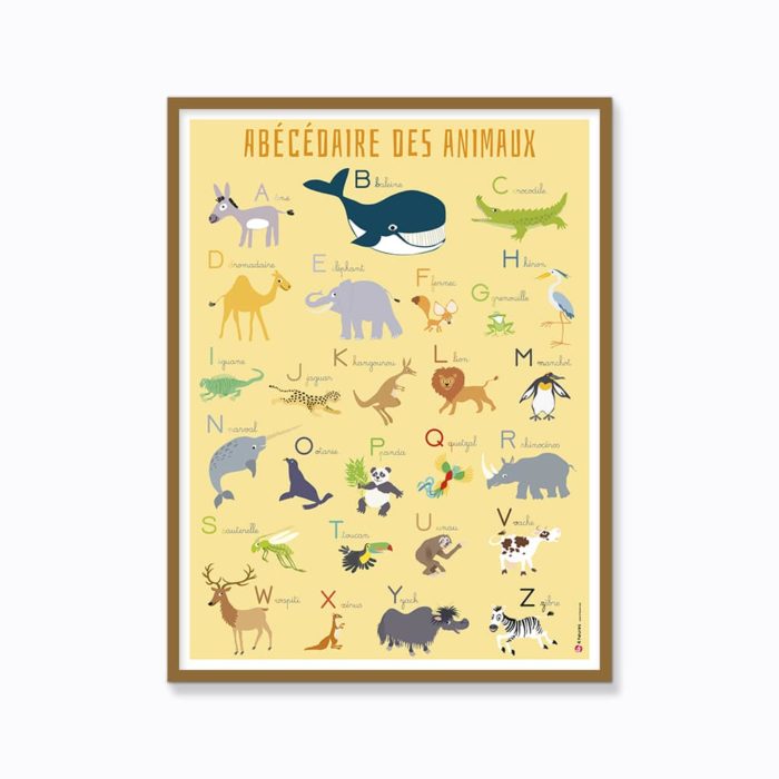 Abécédaire des animaux du monde - Papier curieux